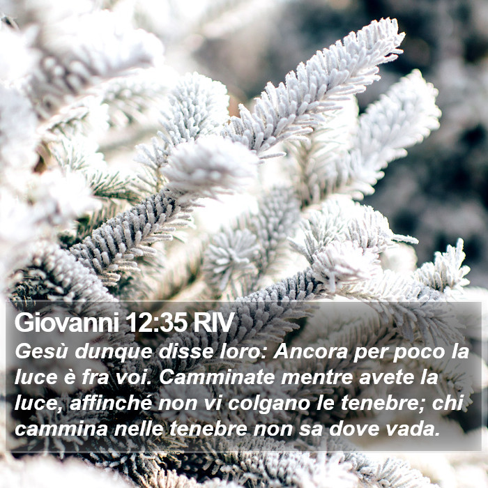 Giovanni 12:35 RIV Bible Study