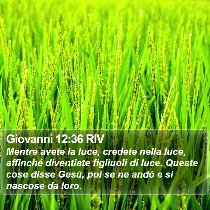 Giovanni 12:36 RIV Bible Study