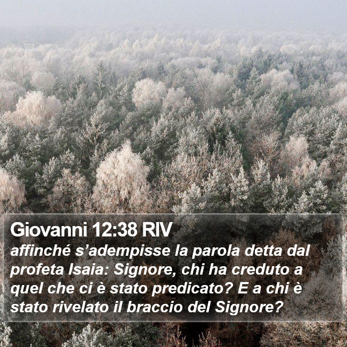 Giovanni 12:38 RIV Bible Study