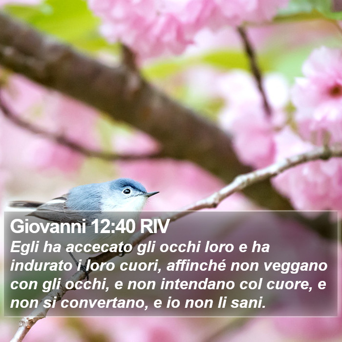 Giovanni 12:40 RIV Bible Study