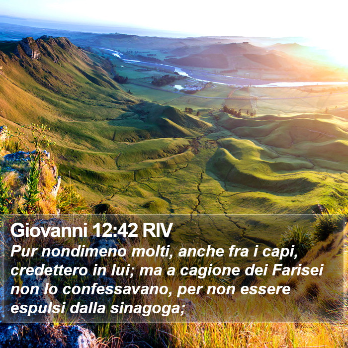 Giovanni 12:42 RIV Bible Study