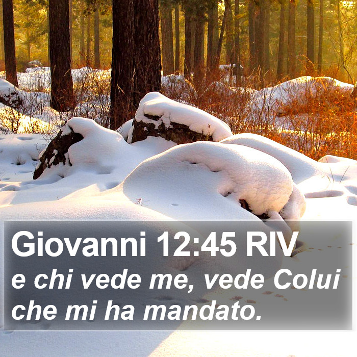 Giovanni 12:45 RIV Bible Study