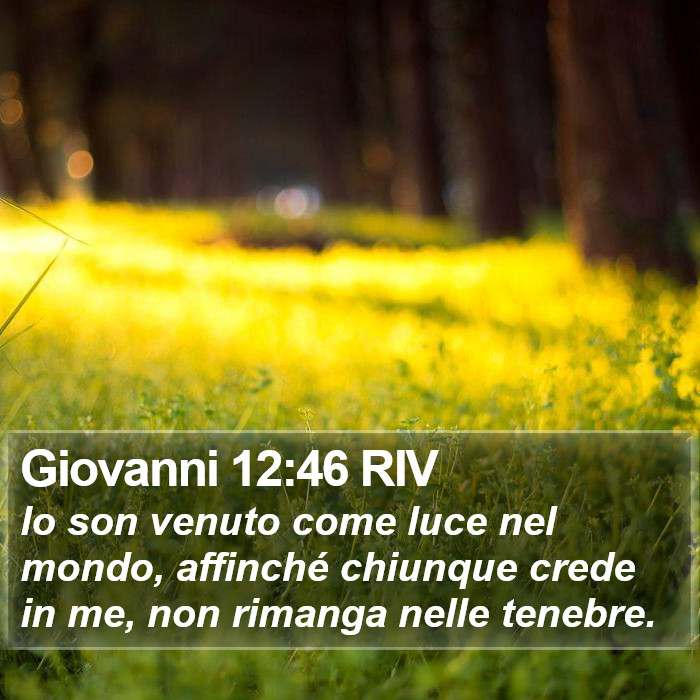 Giovanni 12:46 RIV Bible Study