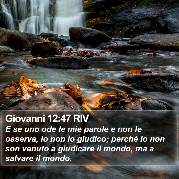 Giovanni 12:47 RIV Bible Study