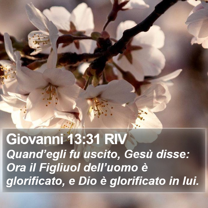 Giovanni 13:31 RIV Bible Study