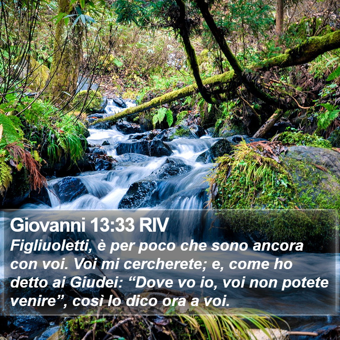 Giovanni 13:33 RIV Bible Study