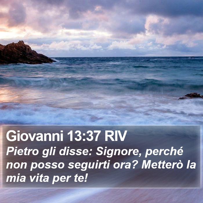Giovanni 13:37 RIV Bible Study