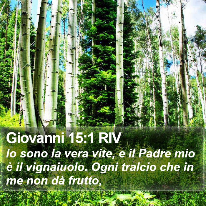 Giovanni 15:1 RIV Bible Study