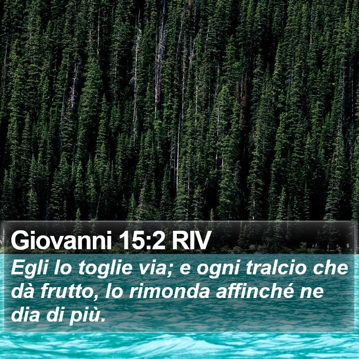 Giovanni 15:2 RIV Bible Study