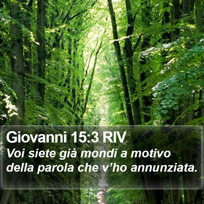 Giovanni 15:3 RIV Bible Study