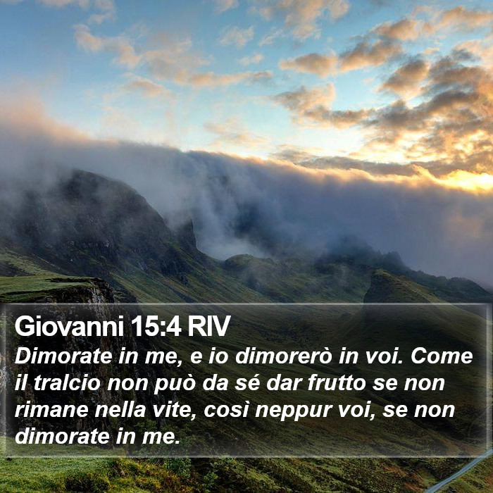 Giovanni 15:4 RIV Bible Study