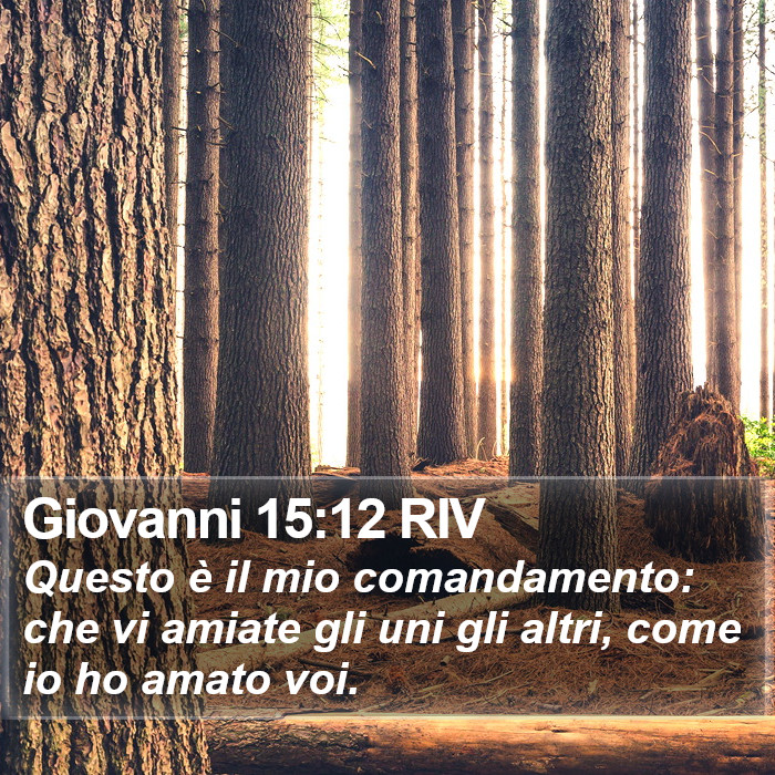 Giovanni 15:12 RIV Bible Study