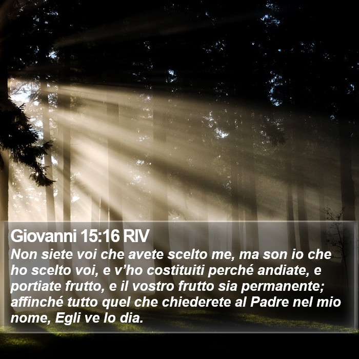 Giovanni 15:16 RIV Bible Study