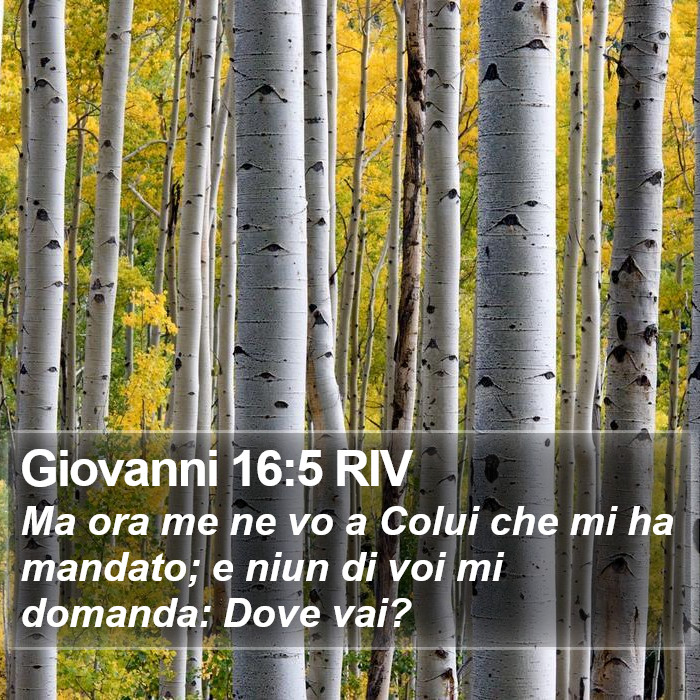 Giovanni 16:5 RIV Bible Study