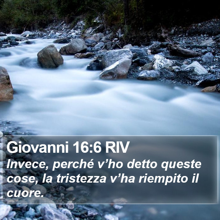 Giovanni 16:6 RIV Bible Study