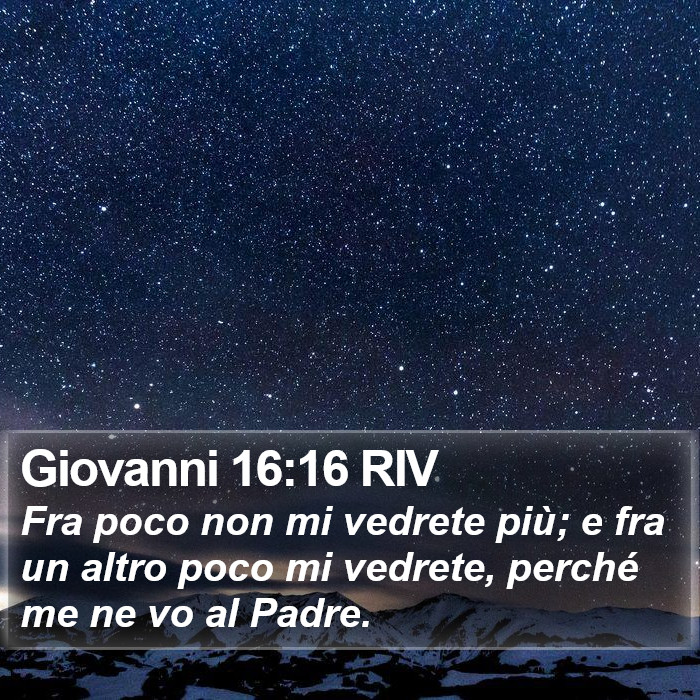 Giovanni 16:16 RIV Bible Study
