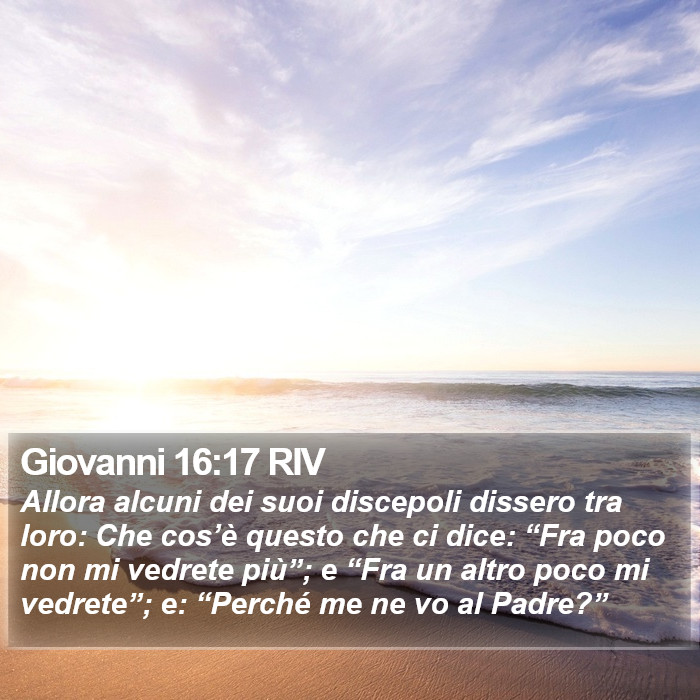 Giovanni 16:17 RIV Bible Study