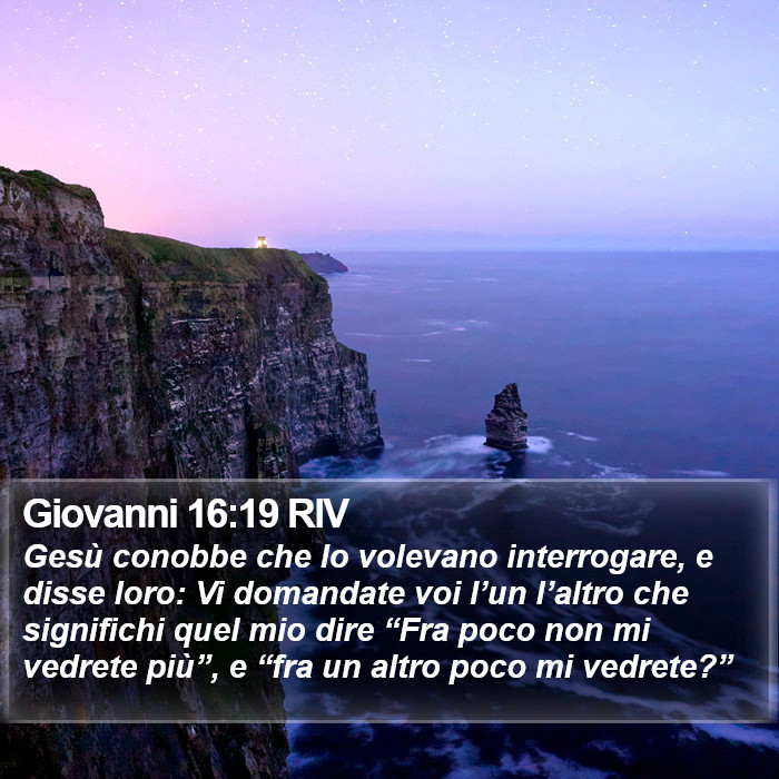 Giovanni 16:19 RIV Bible Study