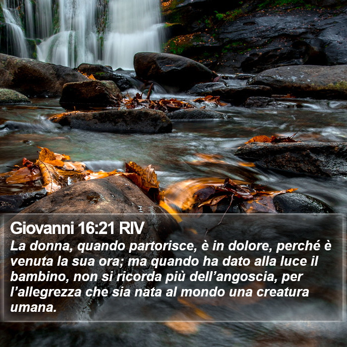 Giovanni 16:21 RIV Bible Study