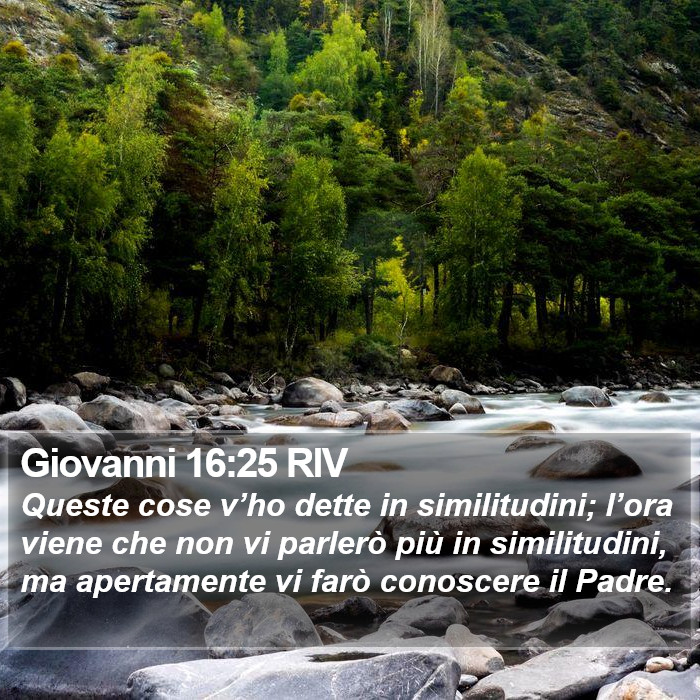 Giovanni 16:25 RIV Bible Study