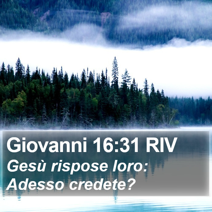 Giovanni 16:31 RIV Bible Study