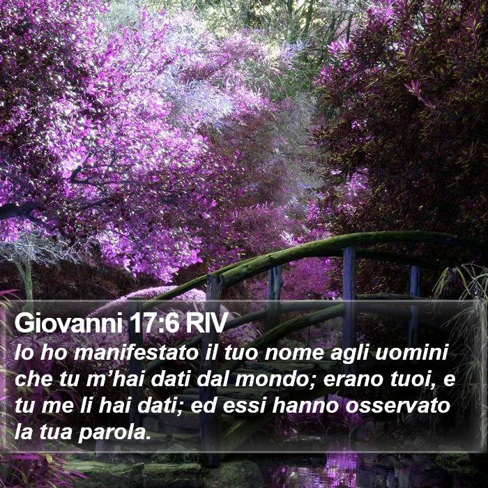 Giovanni 17:6 RIV Bible Study