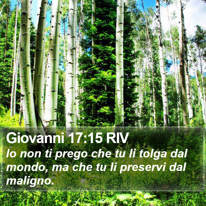 Giovanni 17:15 RIV Bible Study