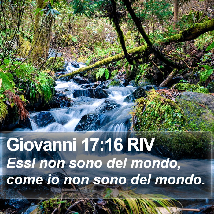 Giovanni 17:16 RIV Bible Study