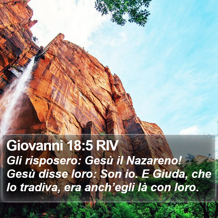 Giovanni 18:5 RIV Bible Study