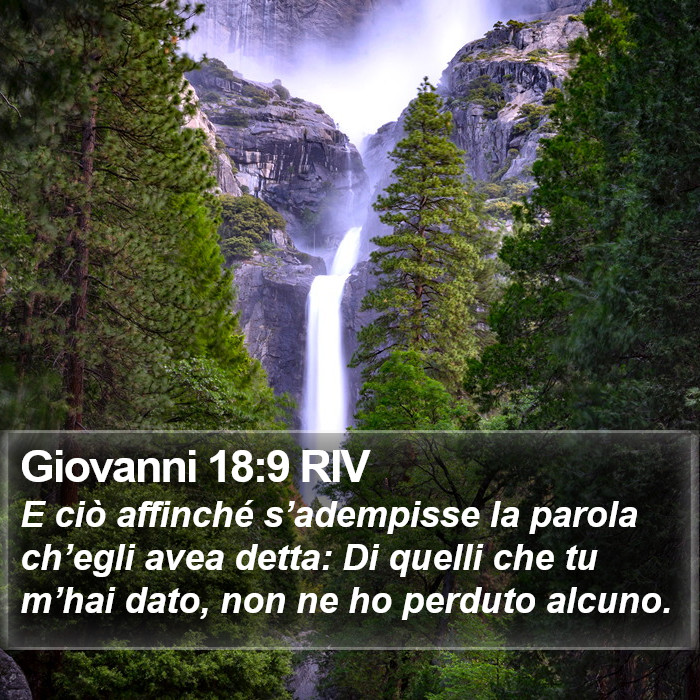 Giovanni 18:9 RIV Bible Study