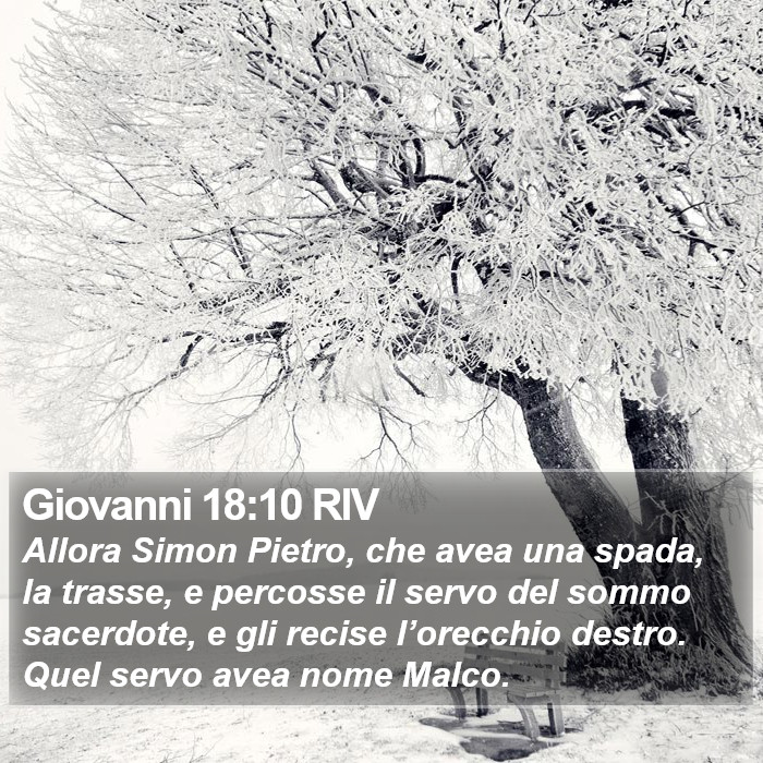 Giovanni 18:10 RIV Bible Study