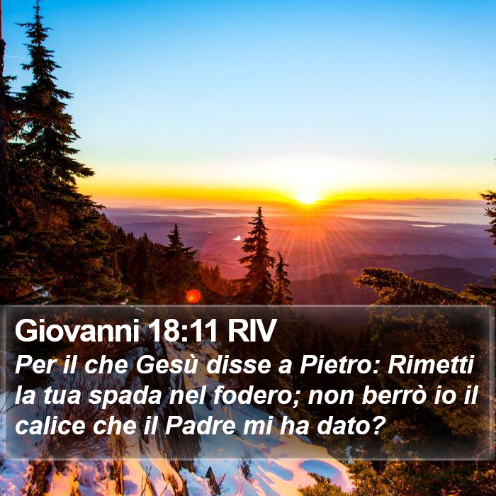 Giovanni 18:11 RIV Bible Study