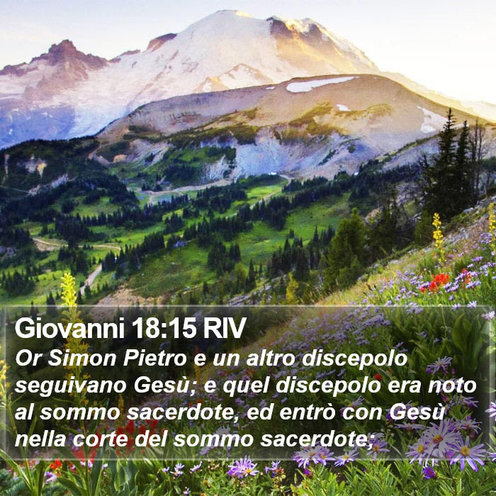 Giovanni 18:15 RIV Bible Study