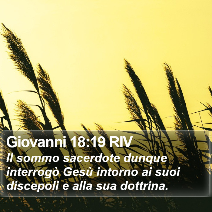 Giovanni 18:19 RIV Bible Study