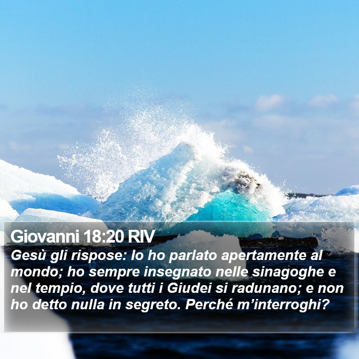 Giovanni 18:20 RIV Bible Study