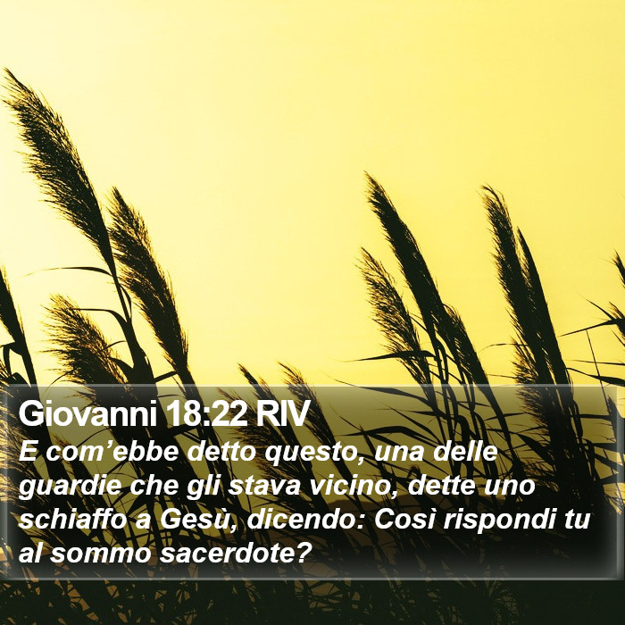 Giovanni 18:22 RIV Bible Study