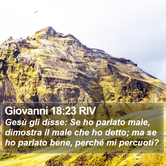 Giovanni 18:23 RIV Bible Study