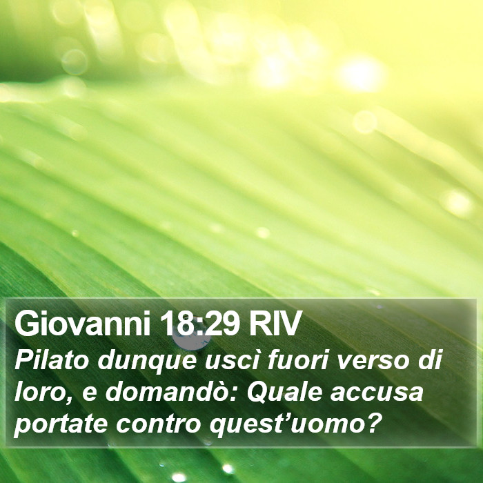 Giovanni 18:29 RIV Bible Study