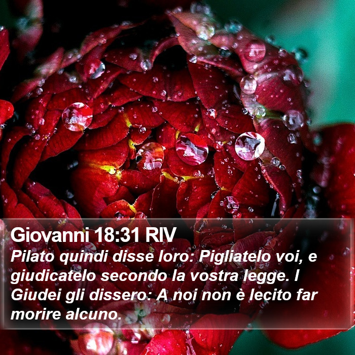 Giovanni 18:31 RIV Bible Study
