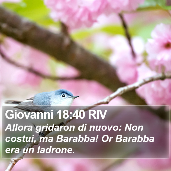 Giovanni 18:40 RIV Bible Study