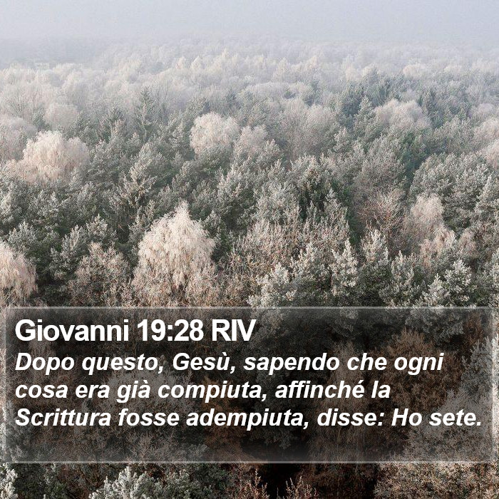 Giovanni 19:28 RIV Bible Study