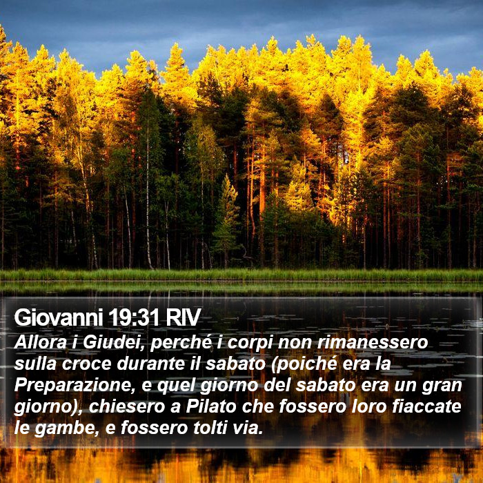 Giovanni 19:31 RIV Bible Study