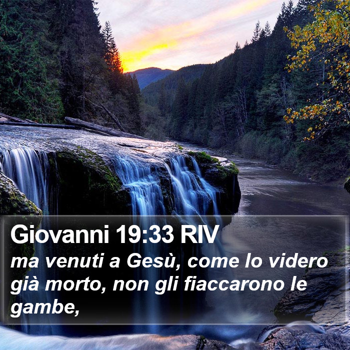 Giovanni 19:33 RIV Bible Study