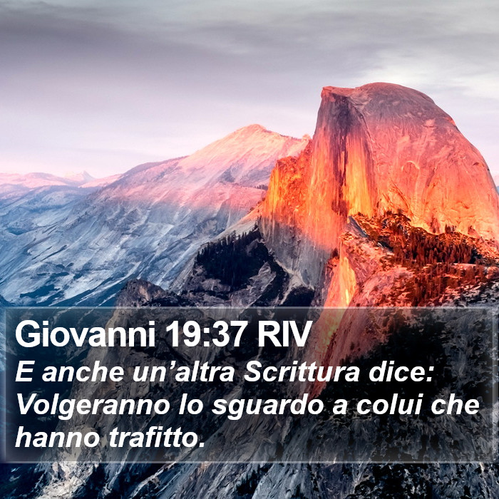 Giovanni 19:37 RIV Bible Study
