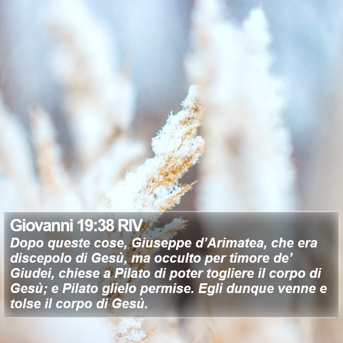 Giovanni 19:38 RIV Bible Study