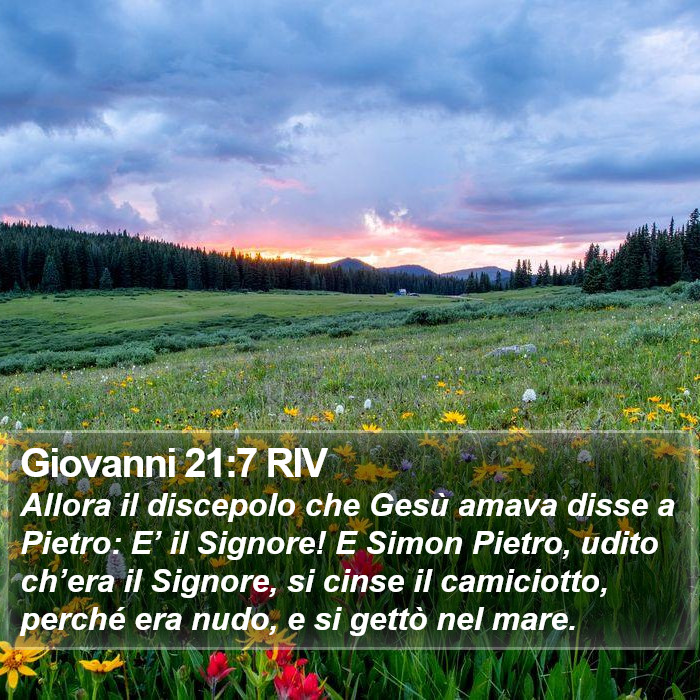 Giovanni 21:7 RIV Bible Study