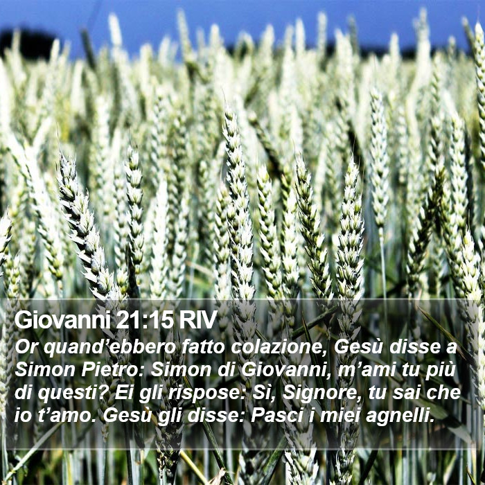 Giovanni 21:15 RIV Bible Study