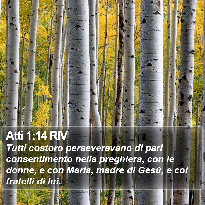 Atti 1:14 RIV Bible Study