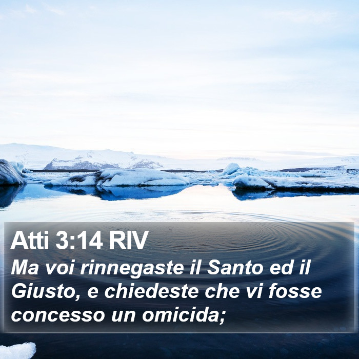 Atti 3:14 RIV Bible Study