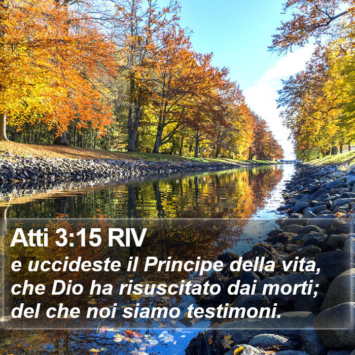 Atti 3:15 RIV Bible Study